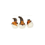 Vita Domi 4" Multi-colored Feather Tree Birds w/ Clips 12 Assorted Set ( VTD-ABF-ME0605-12AS)