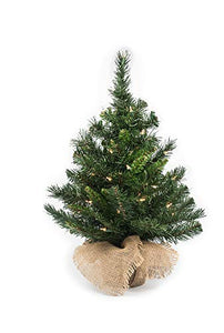 Vita Domi 24" Catalina Pine Spruce Evergreen Table Top Tree with Burlap Bag Base 82 Tips (Unlit)