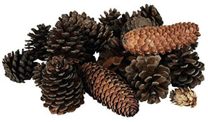 Vita Domi Natural Brown Premium Pinecone Assortment 120 Pieces Per Bag (Assorted Sizes)